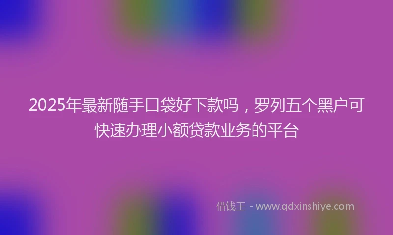 2025年最新随手口袋好下款吗，罗列五个黑户可快速办理小额贷款业务的平台