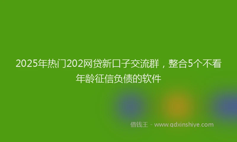 2025年热门202网贷新口子交流群，整合5个不看年龄征信负债的软件