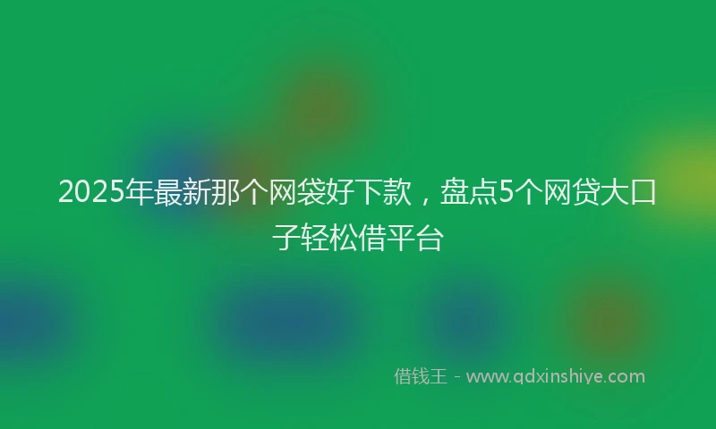2025年最新那个网袋好下款，盘点5个网贷大口子轻松借平台