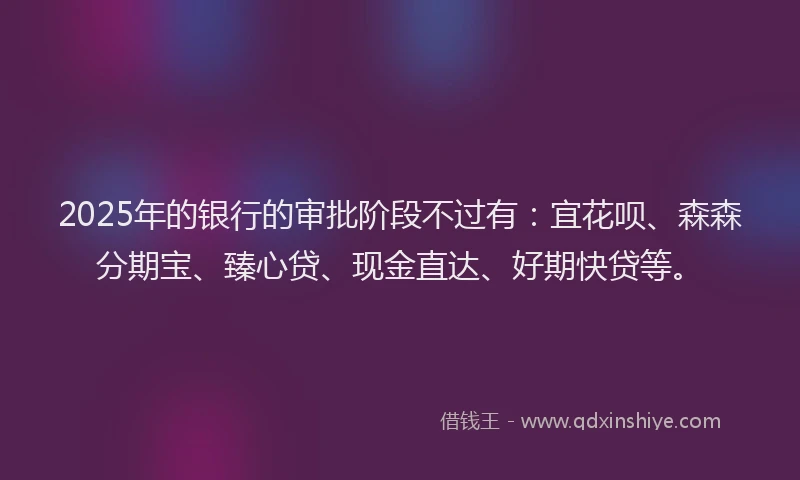 2025年的银行的审批阶段不过有：宜花呗、森森分期宝、臻心贷、现金直达、好期快贷等。