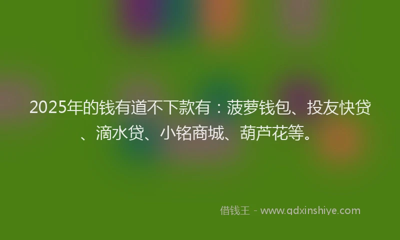2025年的钱有道不下款有：菠萝钱包、投友快贷、滴水贷、小铭商城、葫芦花等。