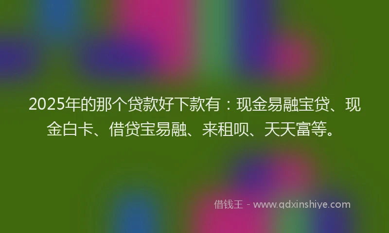 2025年的那个贷款好下款有：现金易融宝贷、现金白卡、借贷宝易融、来租呗、天天富等。