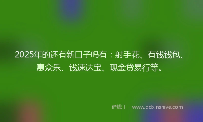 2025年的还有新口子吗有：射手花、有钱钱包、惠众乐、钱速达宝、现金贷易行等。