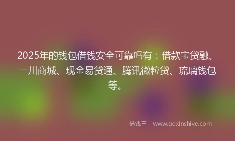 2025年的钱包借钱安全可靠吗有：借款宝贷融、一川商城、现金易贷通、腾讯微粒贷、琉璃钱包等。