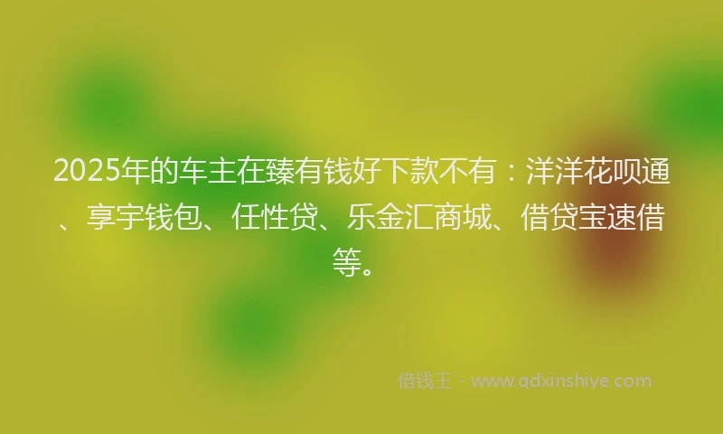 2025年的车主在臻有钱好下款不有：洋洋花呗通、享宇钱包、任性贷、乐金汇商城、借贷宝速借等。