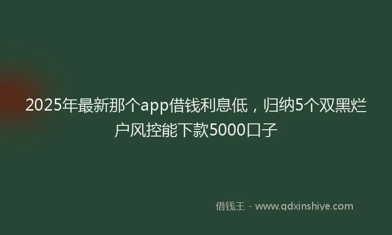 2025年最新那个app借钱利息低，归纳5个双黑烂户风控能下款5000口子