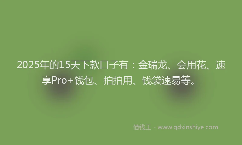 2025年的15天下款口子有：金瑞龙、会用花、速享Pro+钱包、拍拍用、钱袋速易等。