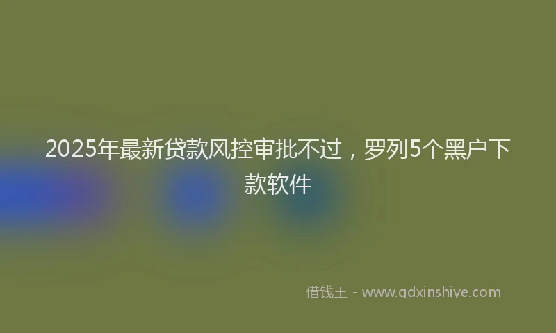 2025年最新贷款风控审批不过，罗列5个黑户下款软件
