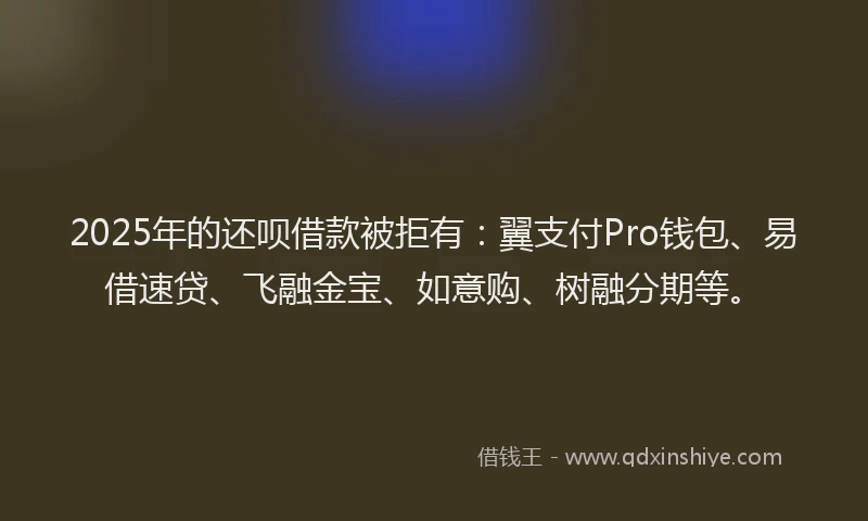2025年的还呗借款被拒有：翼支付Pro钱包、易借速贷、飞融金宝、如意购、树融分期等。