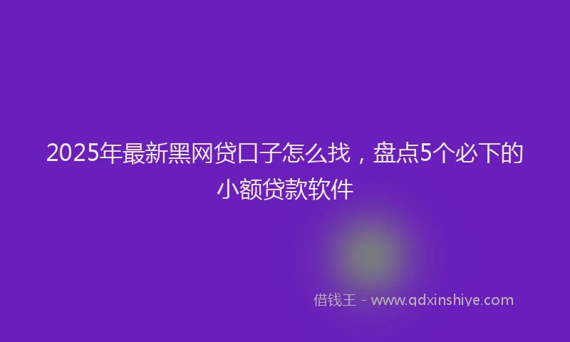 2025年最新黑网贷口子怎么找，盘点5个必下的小额贷款软件