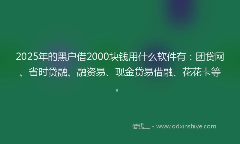 2025年的黑户借2000块钱用什么软件有：团贷网、省时贷融、融资易、现金贷易借融、花花卡等。