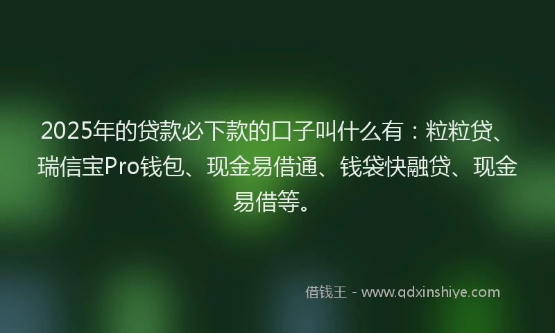 2025年的贷款必下款的口子叫什么有：粒粒贷、瑞信宝Pro钱包、现金易借通、钱袋快融贷、现金易借等。