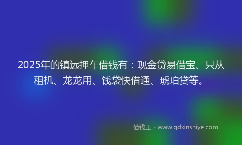 2025年的镇远押车借钱有：现金贷易借宝、只从租机、龙龙用、钱袋快借通、琥珀贷等。
