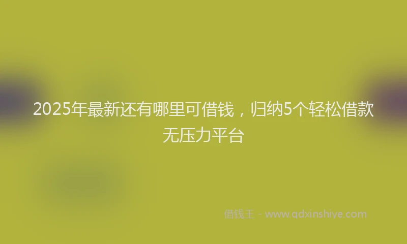 2025年最新还有哪里可借钱，归纳5个轻松借款无压力平台
