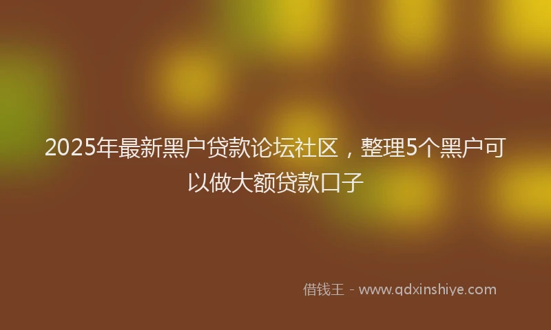 2025年最新黑户贷款论坛社区，整理5个黑户可以做大额贷款口子