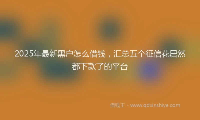 2025年最新黑户怎么借钱，汇总五个征信花居然都下款了的平台