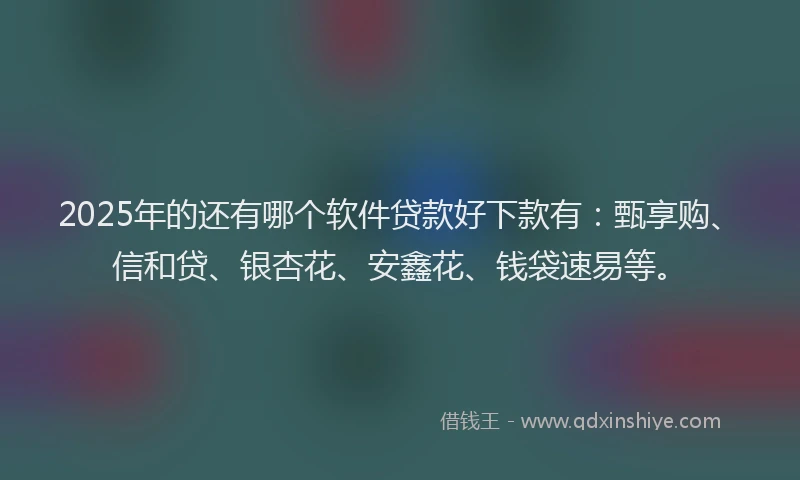 2025年的还有哪个软件贷款好下款有：甄享购、信和贷、银杏花、安鑫花、钱袋速易等。