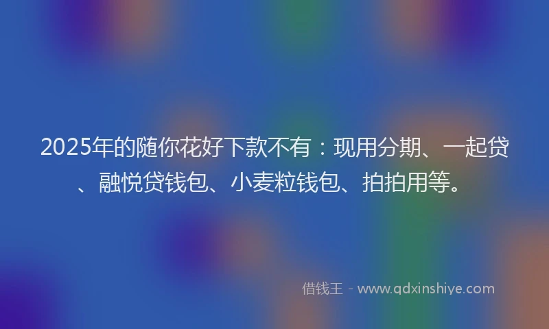 2025年的随你花好下款不有：现用分期、一起贷、融悦贷钱包、小麦粒钱包、拍拍用等。