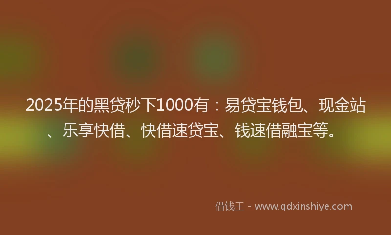 2025年的黑贷秒下1000有：易贷宝钱包、现金站、乐享快借、快借速贷宝、钱速借融宝等。