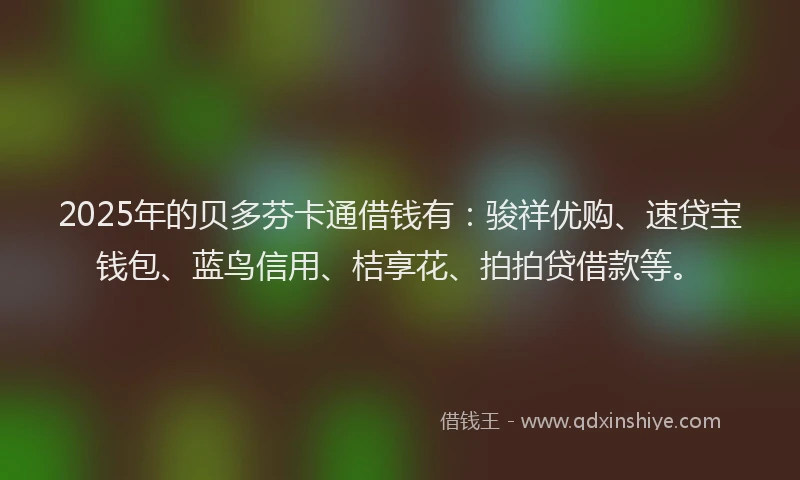 2025年的贝多芬卡通借钱有：骏祥优购、速贷宝钱包、蓝鸟信用、桔享花、拍拍贷借款等。