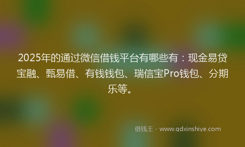 2025年的通过微信借钱平台有哪些有：现金易贷宝融、甄易借、有钱钱包、瑞信宝Pro钱包、分期乐等。