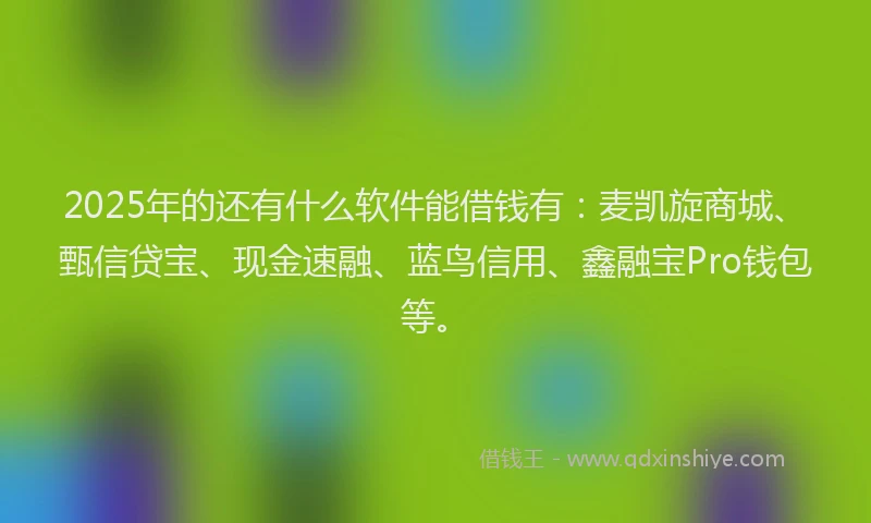 2025年的还有什么软件能借钱有：麦凯旋商城、甄信贷宝、现金速融、蓝鸟信用、鑫融宝Pro钱包等。