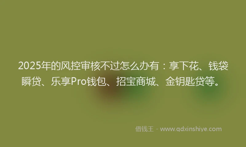 2025年的风控审核不过怎么办有：享下花、钱袋瞬贷、乐享Pro钱包、招宝商城、金钥匙贷等。
