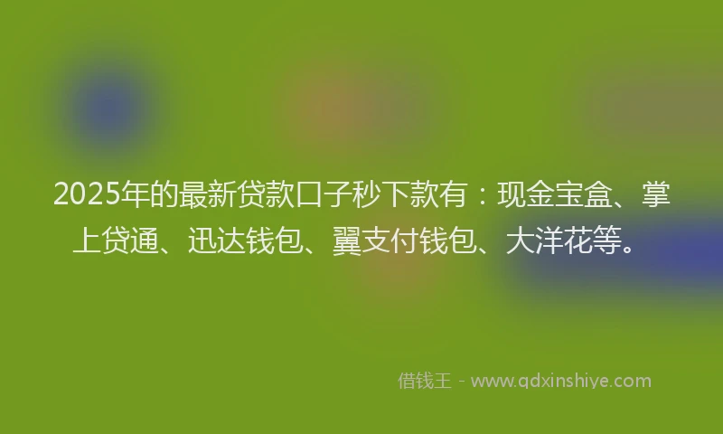2025年的最新贷款口子秒下款有：现金宝盒、掌上贷通、迅达钱包、翼支付钱包、大洋花等。