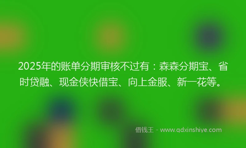2025年的账单分期审核不过有：森森分期宝、省时贷融、现金侠快借宝、向上金服、新一花等。