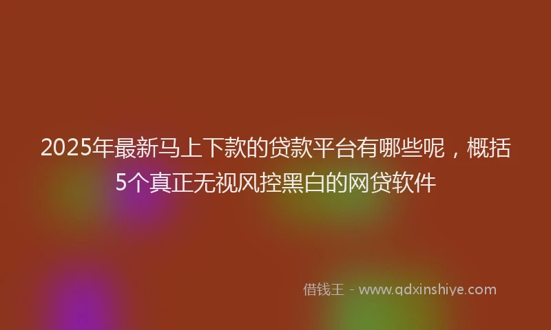 2025年最新马上下款的贷款平台有哪些呢，概括5个真正无视风控黑白的网贷软件