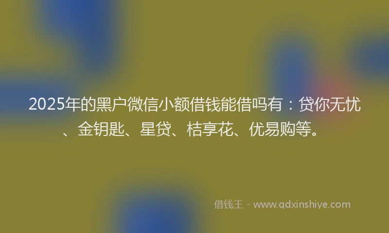 2025年的黑户微信小额借钱能借吗有：贷你无忧、金钥匙、星贷、桔享花、优易购等。
