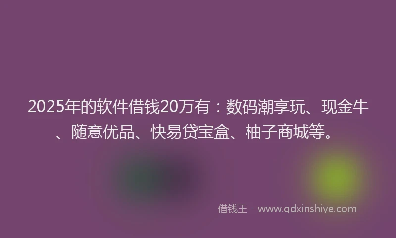 2025年的软件借钱20万有：数码潮享玩、现金牛、随意优品、快易贷宝盒、柚子商城等。