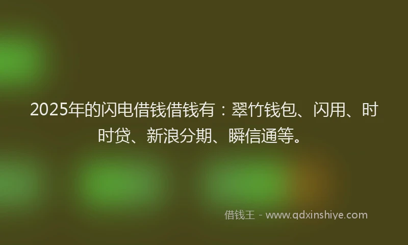 2025年的闪电借钱借钱有：翠竹钱包、闪用、时时贷、新浪分期、瞬信通等。