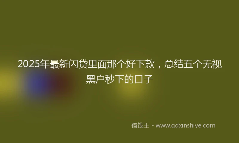 2025年最新闪贷里面那个好下款，总结五个无视黑户秒下的口子