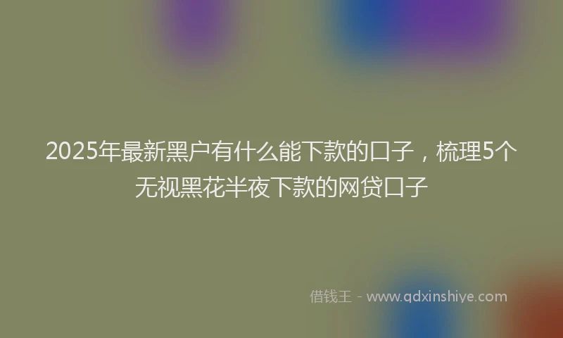 2025年最新黑户有什么能下款的口子，梳理5个无视黑花半夜下款的网贷口子