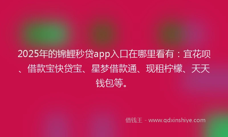 2025年的锦鲤秒贷app入口在哪里看有：宜花呗、借款宝快贷宝、星梦借款通、现租柠檬、天天钱包等。