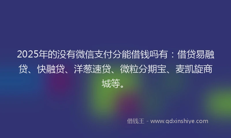 2025年的没有微信支付分能借钱吗有：借贷易融贷、快融贷、洋葱速贷、微粒分期宝、麦凯旋商城等。