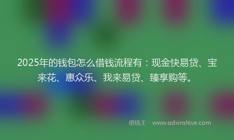 2025年的钱包怎么借钱流程有：现金快易贷、宝来花、惠众乐、我来易贷、臻享购等。