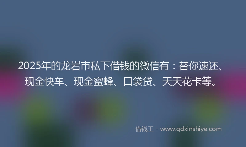 2025年的龙岩市私下借钱的微信有：替你速还、现金快车、现金蜜蜂、口袋贷、天天花卡等。