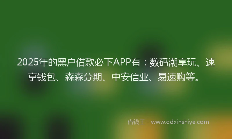 2025年的黑户借款必下APP有：数码潮享玩、速享钱包、森森分期、中安信业、易速购等。