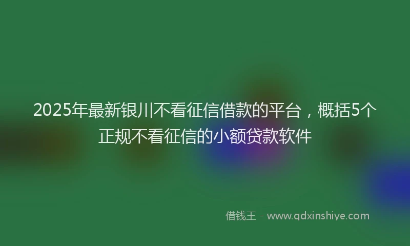 2025年最新银川不看征信借款的平台，概括5个正规不看征信的小额贷款软件