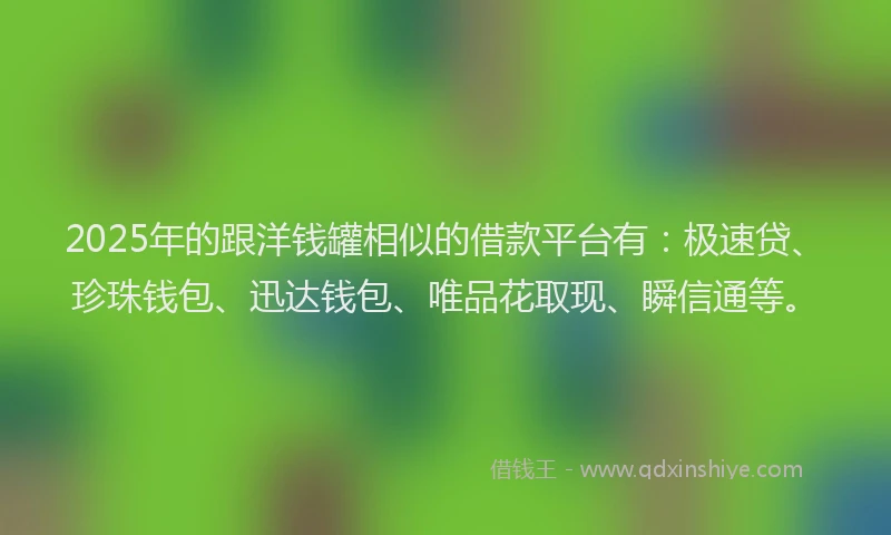 2025年的跟洋钱罐相似的借款平台有：极速贷、珍珠钱包、迅达钱包、唯品花取现、瞬信通等。