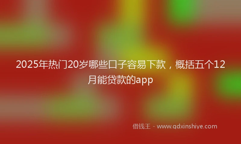 2025年热门20岁哪些口子容易下款，概括五个12月能贷款的app