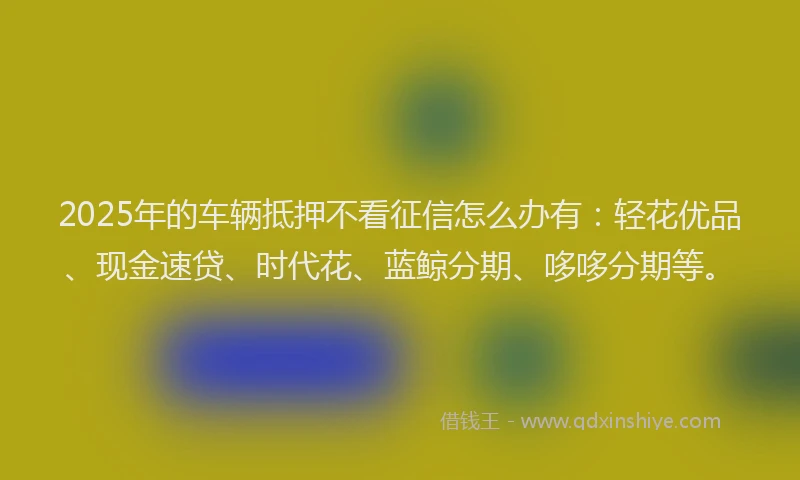 2025年的车辆抵押不看征信怎么办有：轻花优品、现金速贷、时代花、蓝鲸分期、哆哆分期等。