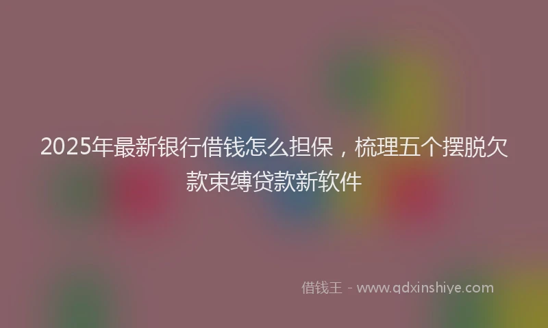2025年最新银行借钱怎么担保，梳理五个摆脱欠款束缚贷款新软件