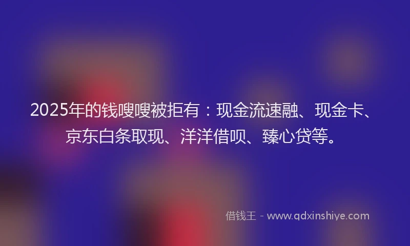 2025年的钱嗖嗖被拒有：现金流速融、现金卡、京东白条取现、洋洋借呗、臻心贷等。