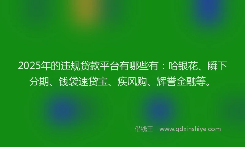2025年的违规贷款平台有哪些有：哈银花、瞬下分期、钱袋速贷宝、疾风购、辉誉金融等。