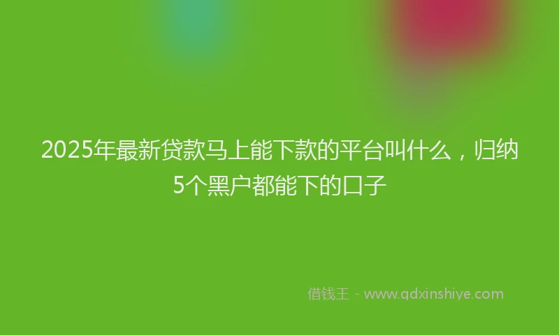2025年最新贷款马上能下款的平台叫什么，归纳5个黑户都能下的口子