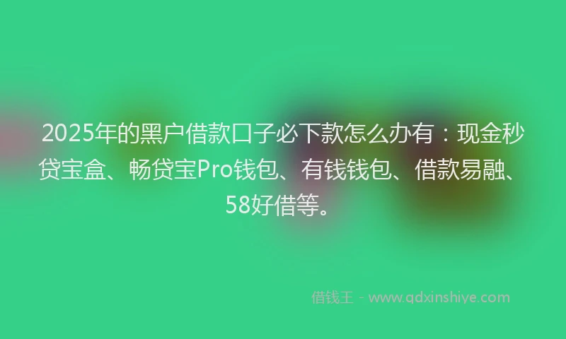 2025年的黑户借款口子必下款怎么办有：现金秒贷宝盒、畅贷宝Pro钱包、有钱钱包、借款易融、58好借等。