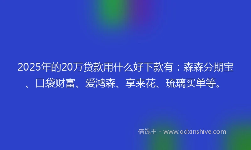2025年的20万贷款用什么好下款有：森森分期宝、口袋财富、爱鸿森、享来花、琉璃买单等。